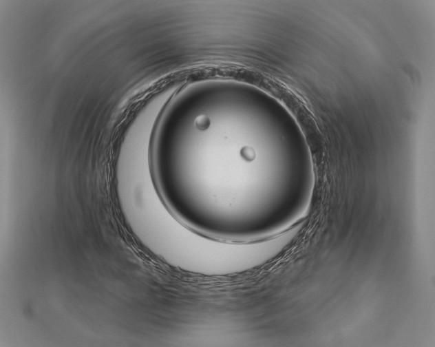 X0000113020920200908271430
