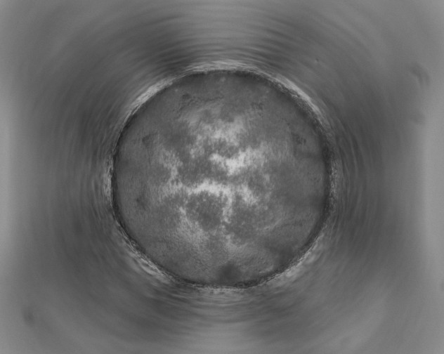 X0000113020921200908271430