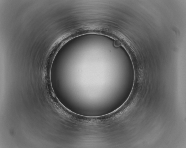 X0000113020922200908271430