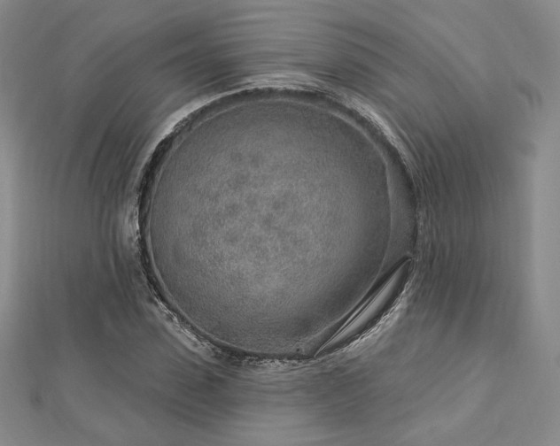 X0000113020923200908271430