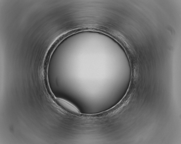 X0000113020924200908271430