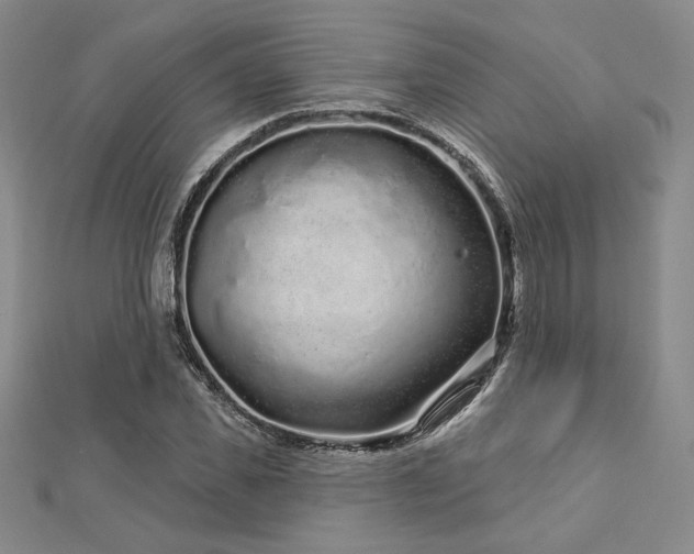X0000113020925200908271430