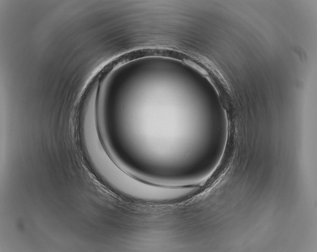 X0000113020926200908271430