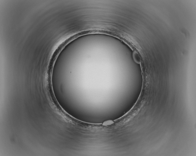 X0000113020928200908271430
