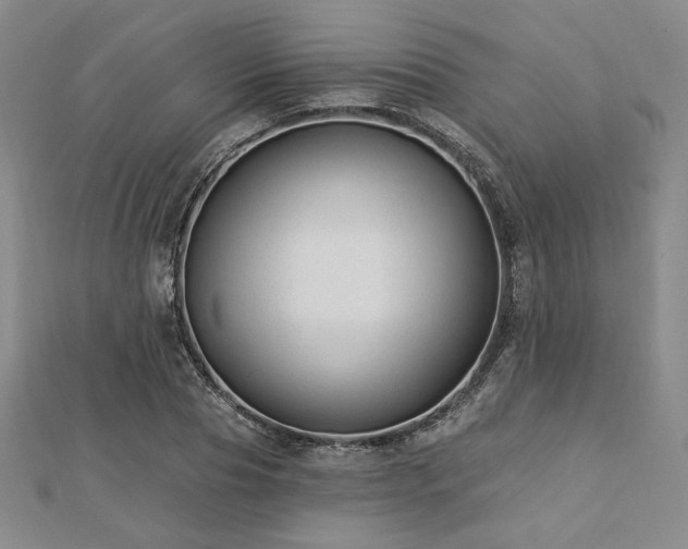 X0000113020929200908271430