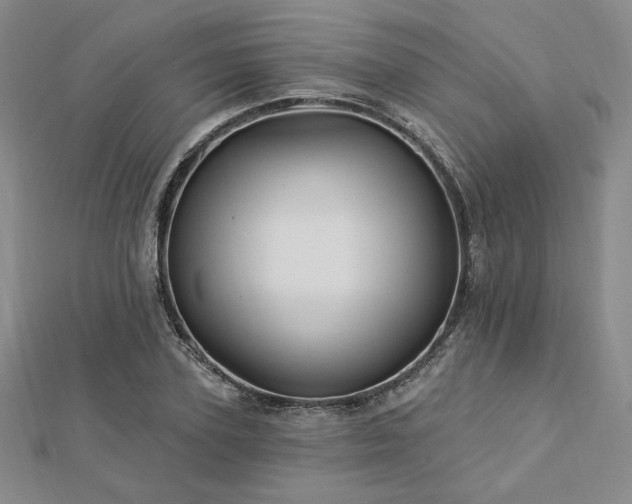 X0000113020931200908271430