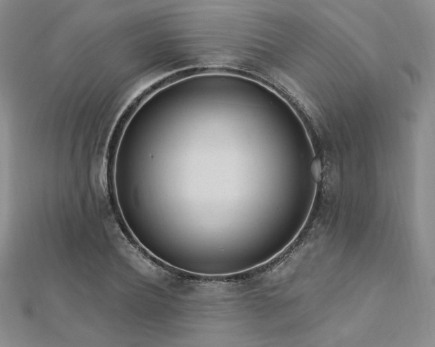 X0000113020932200908271430