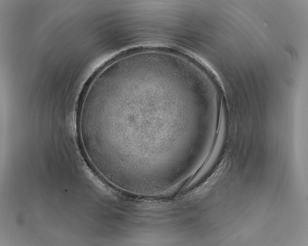 X0000113020935200908271430