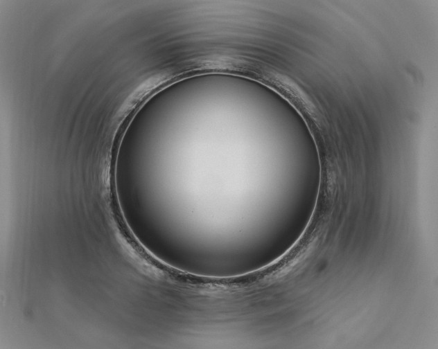 X0000113020938200908271430