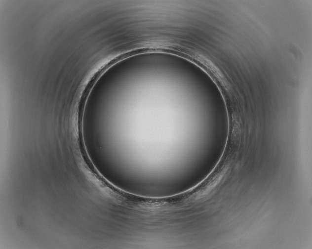 X0000113020939200908271430