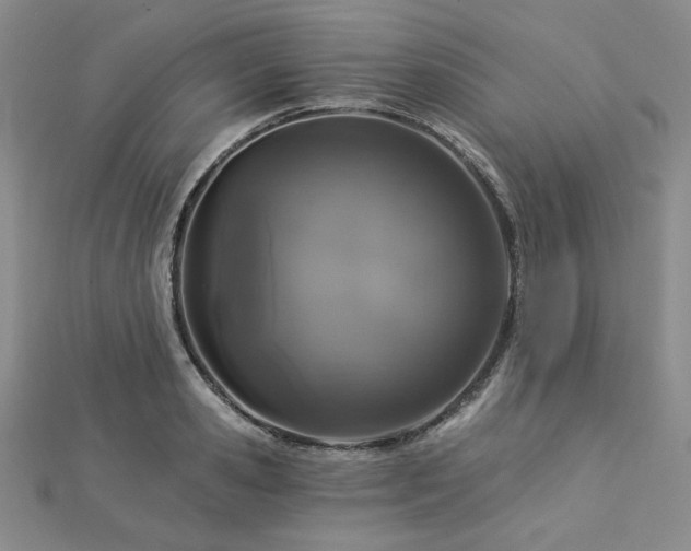 X0000113020941200908271430