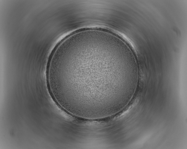 X0000113020943200908271430