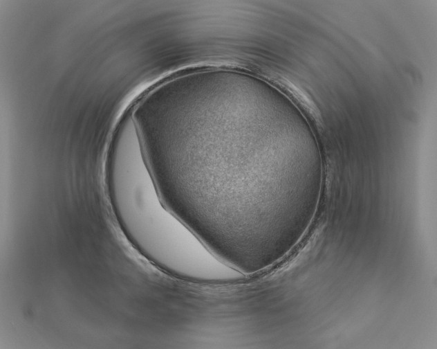 X0000113020944200908271430