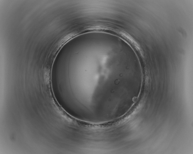 X0000113020945200908271430