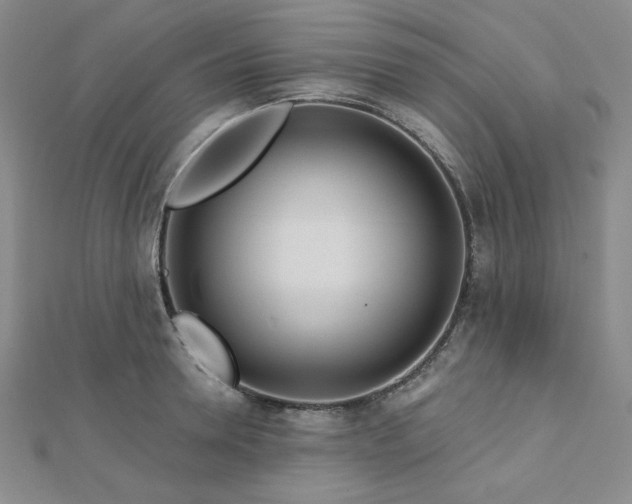 X0000113020946200908271431