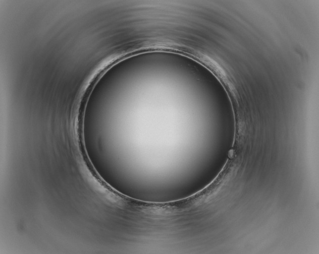 X0000113020947200908271431