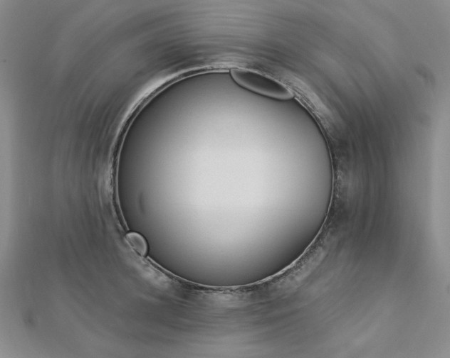 X0000113020948200908271431