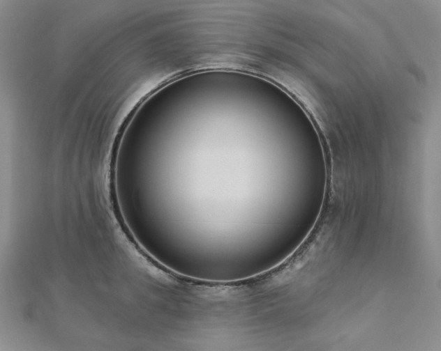 X0000113020949200908271431