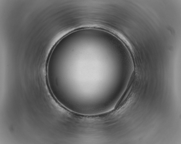 X0000113020951200908271431