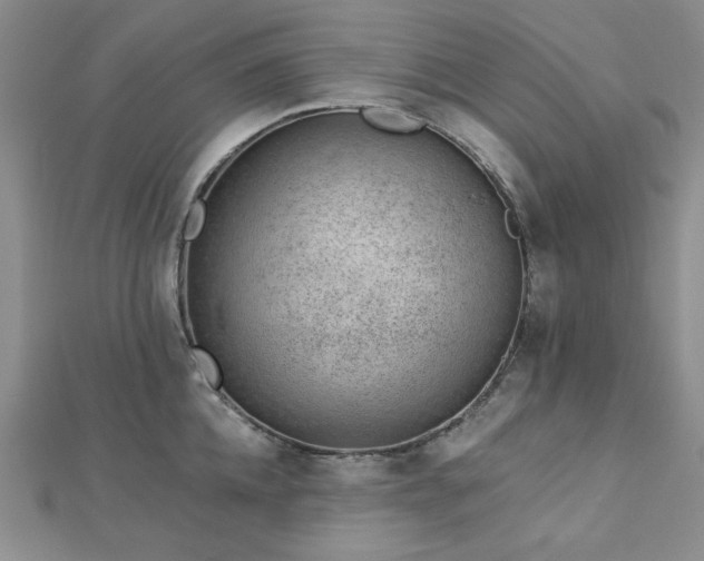 X0000113020952200908271431