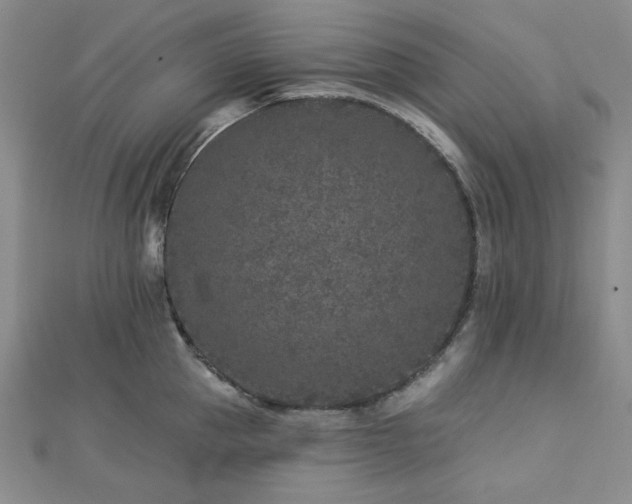 X0000113020953200908271431