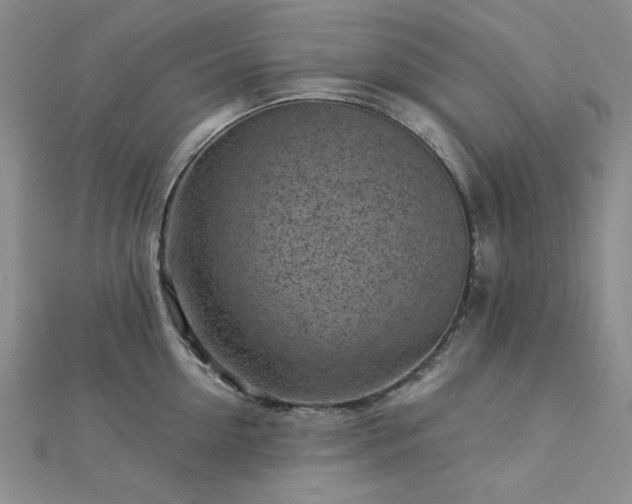 X0000113020954200908271431
