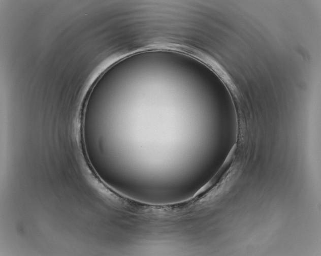 X0000113020955200908271431