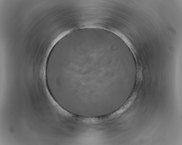 X0000113020957200908271431