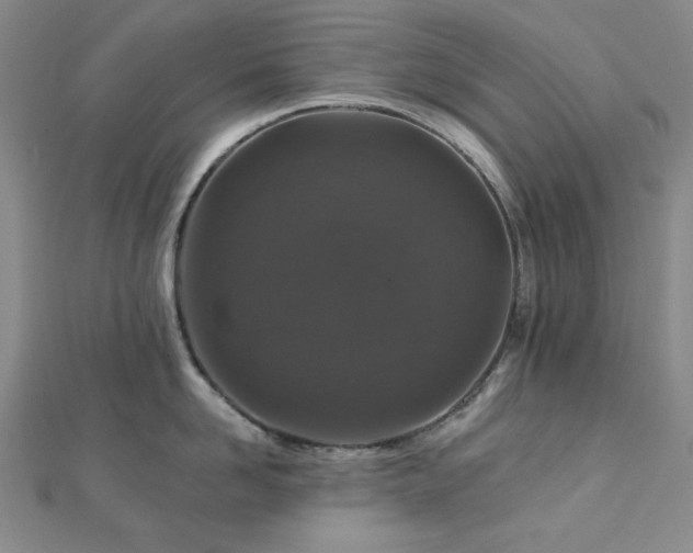 X0000113020958200908271431