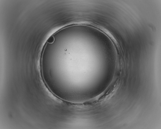X0000113020959200908271431