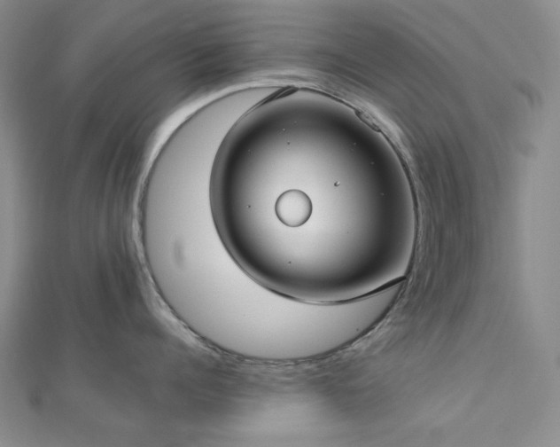 X0000113020960200908271431
