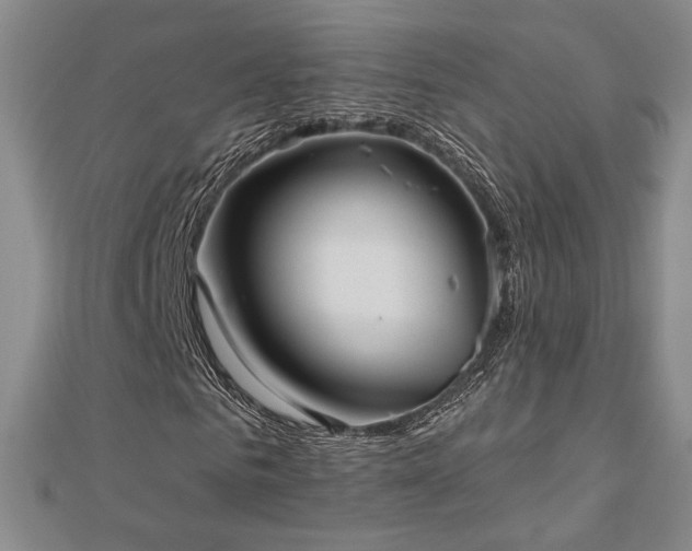 X0000113020961200908271430