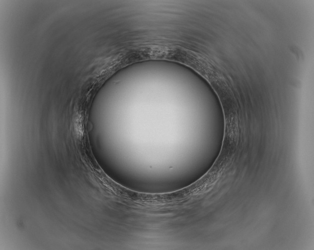 X0000113020962200908271430