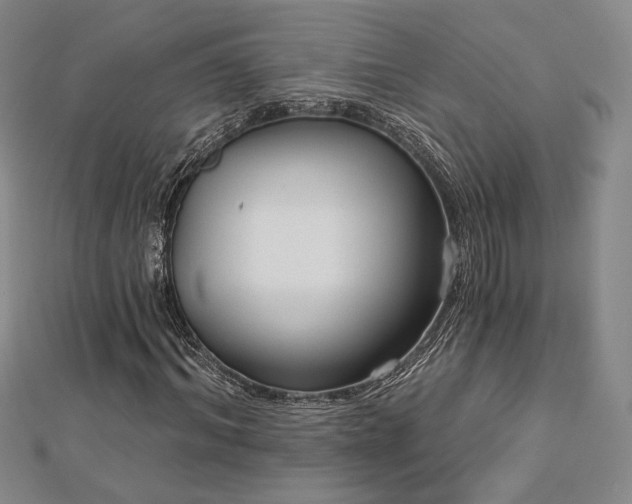 X0000113020964200908271430
