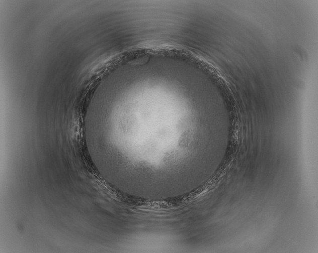X0000113020966200908271430