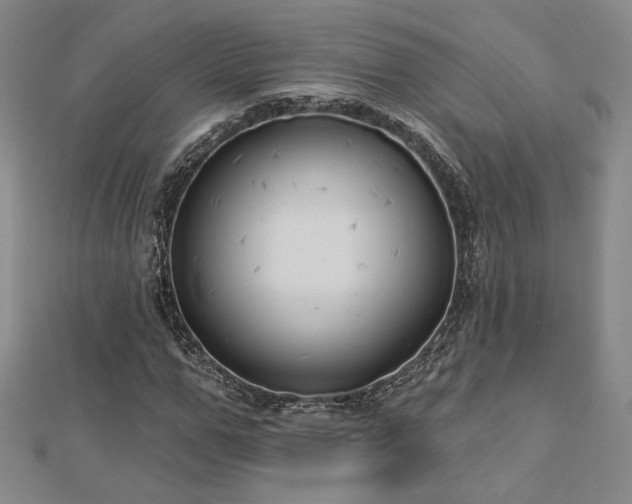 X0000113020967200908271430