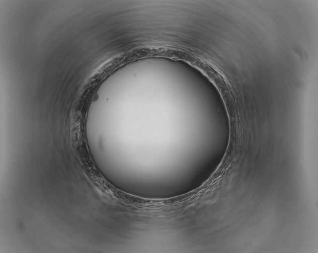 X0000113020968200908271430