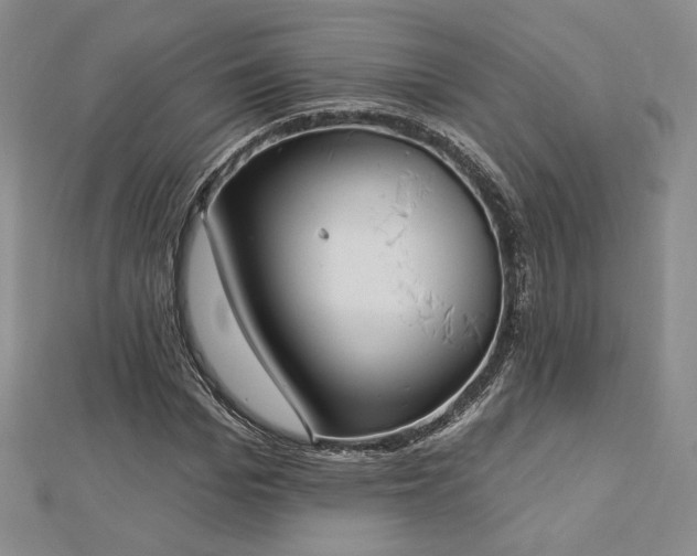 X0000113020969200908271430