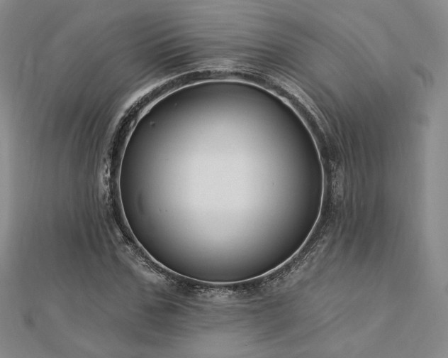 X0000113020971200908271430