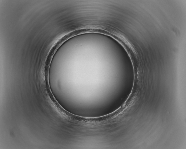 X0000113020972200908271430