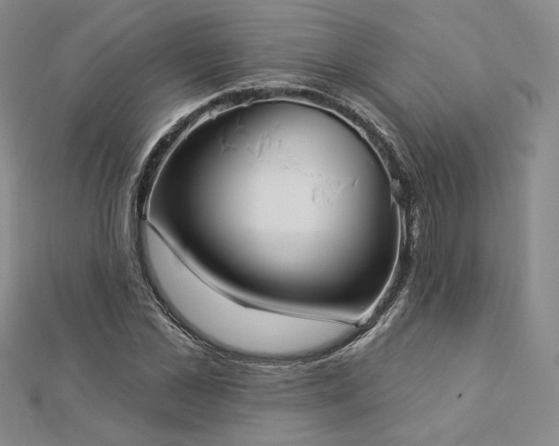 X0000113020973200908271430