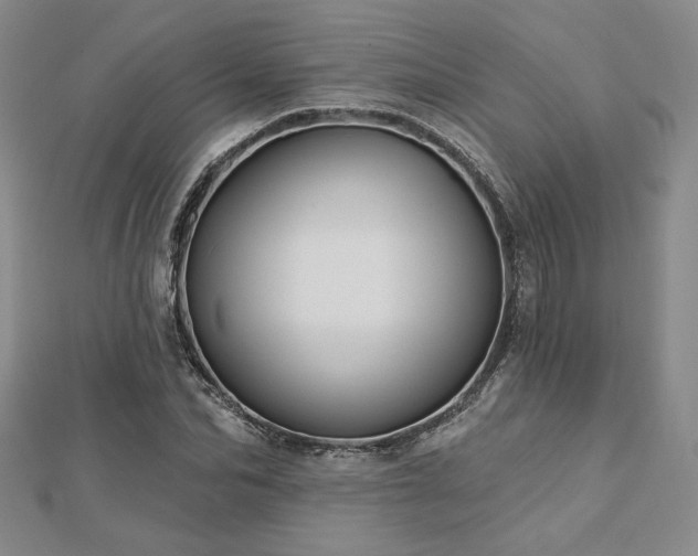 X0000113020974200908271430