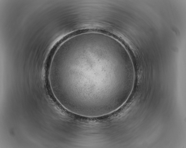 X0000113020975200908271430