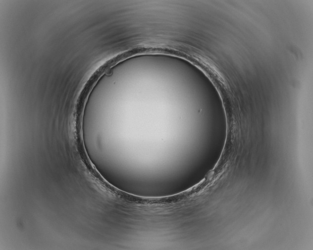 X0000113020976200908271430