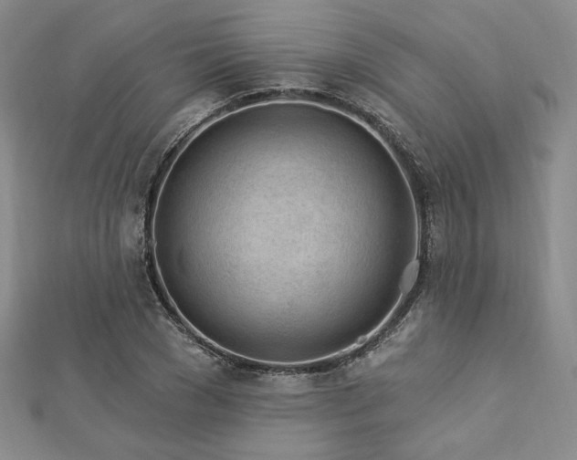 X0000113020977200908271430