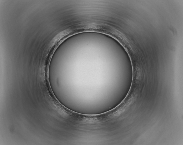 X0000113020978200908271430
