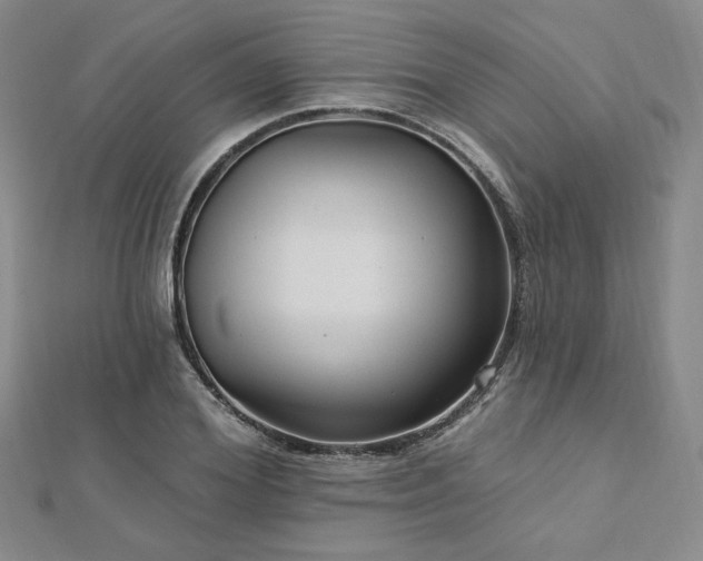 X0000113020980200908271430