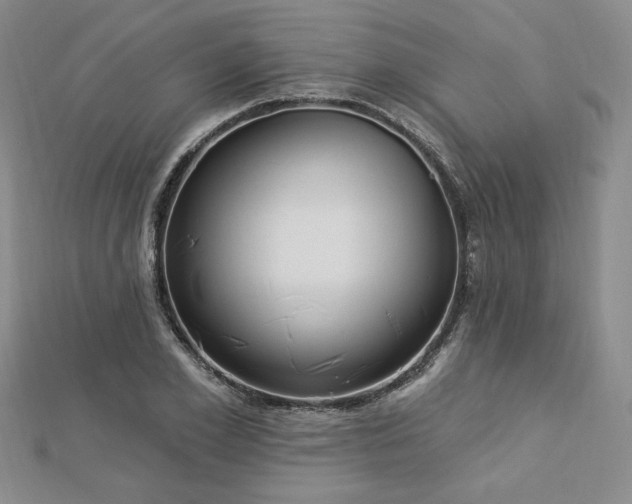 X0000113020981200908271430