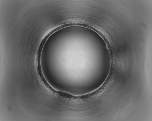 X0000113020983200908271430