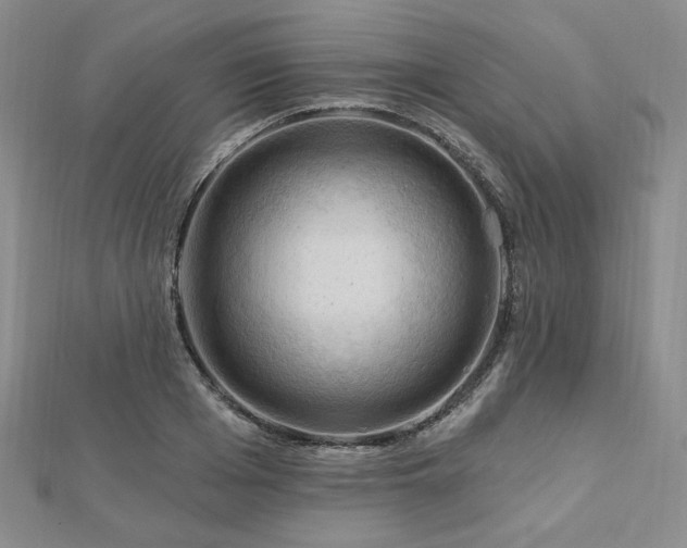 X0000113020985200908271430